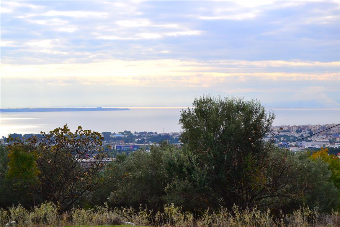 3800m² Hotel in Pylaia, Greece No. 6879