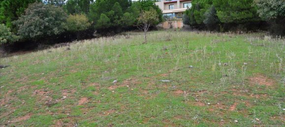 3800m² Hotel in Pylaia, Greece No. 6879 3