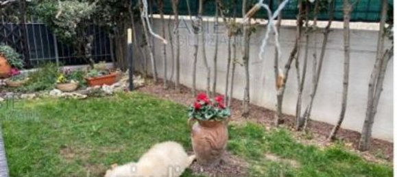 7غرفة شقة في Osimo, Italy رقم 94304 8