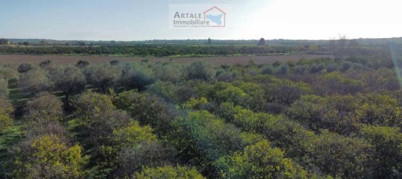 1 room Land in Noto, Italy No. 33727 15