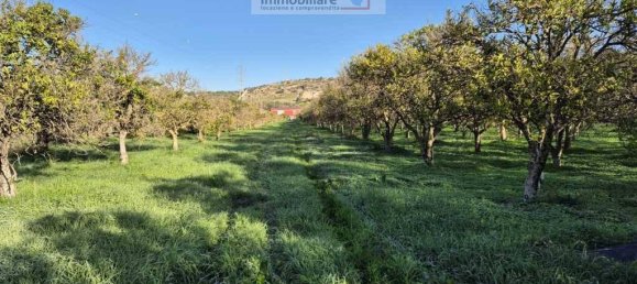 1 room Land in Noto, Italy No. 33727 7