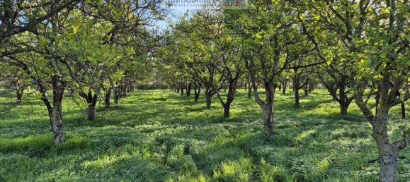 1 room Land in Noto, Italy No. 33727 13