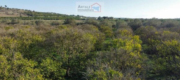 1 room Land in Noto, Italy No. 33727 9