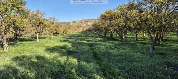 1 room Land in Noto, Italy No. 33727 17