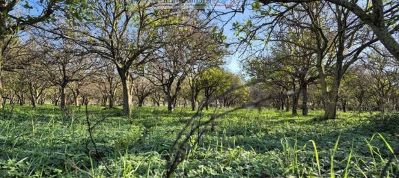 1 room Land in Noto, Italy No. 33727 14