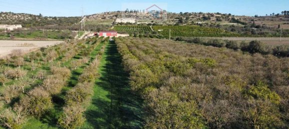 1 room Land in Noto, Italy No. 33727 3