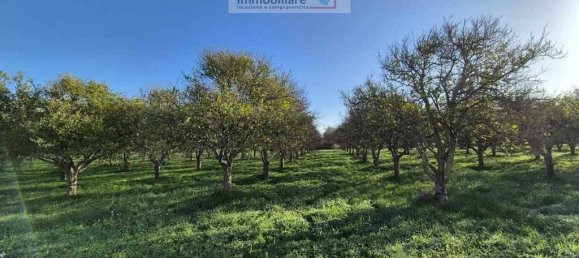 1 room Land in Noto, Italy No. 33727 6