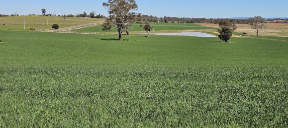  قطعة أرض في Glanmire, Australia 1027902متر مربع رقم 798 2