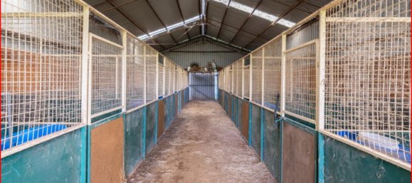  قطعة أرض في Glanmire, Australia 1027902متر مربع رقم 798 4