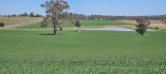  قطعة أرض في Glanmire, Australia 1027902متر مربع رقم 798 7