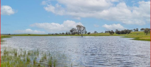  قطعة أرض في Glanmire, Australia 1027902متر مربع رقم 798 9