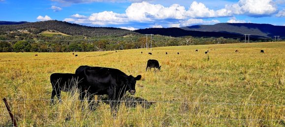  قطعة أرض في Glanmire, Australia 1027902متر مربع رقم 798 13