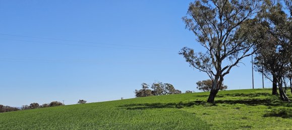  قطعة أرض في Glanmire, Australia 1027902متر مربع رقم 798 10