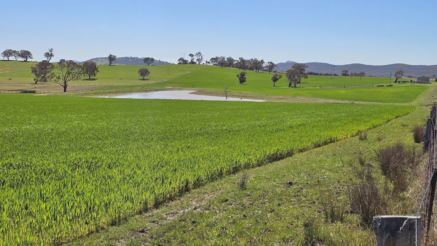  قطعة أرض في Glanmire, Australia 1027902متر مربع رقم 798