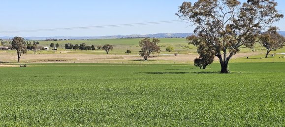  قطعة أرض في Glanmire, Australia 1027902متر مربع رقم 798 3