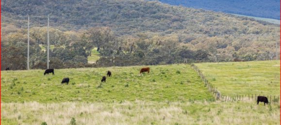  قطعة أرض في Glanmire, Australia 1027902متر مربع رقم 798 15