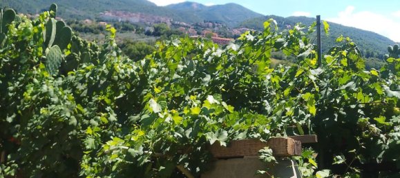 5 rooms Villa in Stroncone, Italy No. 278856 4