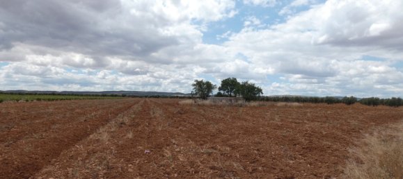 60500m² Land in Valdepenas, Spain No. 164658 7