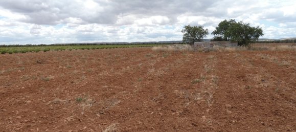 60500m² Land in Valdepenas, Spain No. 164658 4
