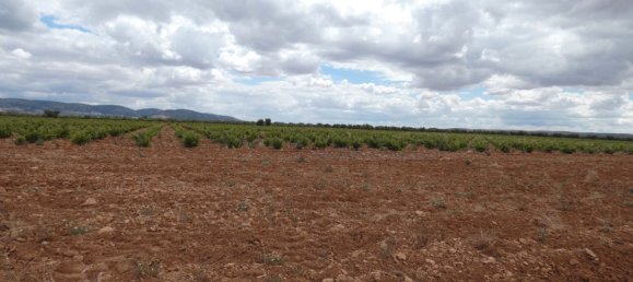 60500m² Land in Valdepenas, Spain No. 164658 9