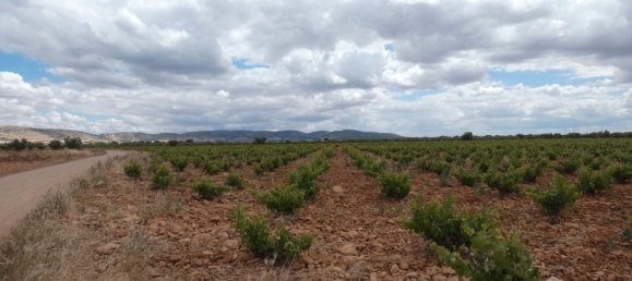 60500m² Land in Valdepenas, Spain No. 164658 6