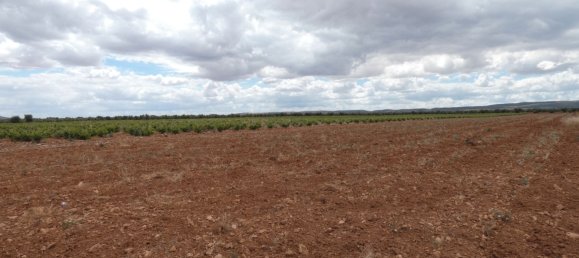 60500m² Land in Valdepenas, Spain No. 164658 11