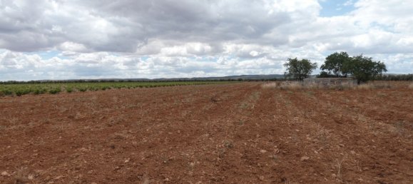 60500m² Land in Valdepenas, Spain No. 164658 10