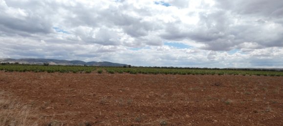 60500m² Land in Valdepenas, Spain No. 164658 13