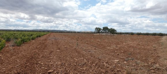 60500m² Land in Valdepenas, Spain No. 164658 5