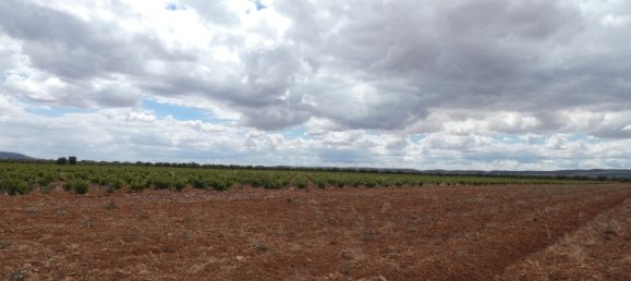 60500m² Land in Valdepenas, Spain No. 164658 8