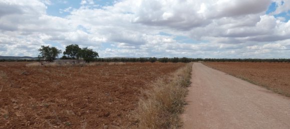 60500m² Land in Valdepenas, Spain No. 164658 3