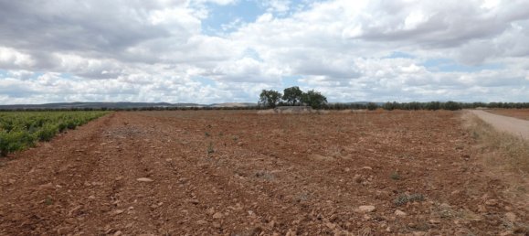 60500m² Land in Valdepenas, Spain No. 164658 2