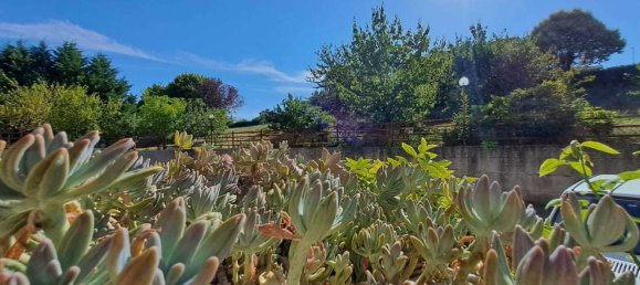 5 rooms Apartment in Montecastrilli, Italy No. 136105 9