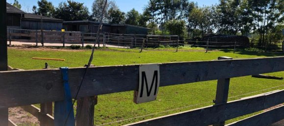 7 rooms House in Schleswig-Flensburg, Germany No. 360382 14