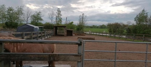 7 rooms House in Schleswig-Flensburg, Germany No. 360382 11