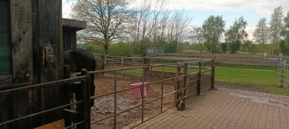 7 rooms House in Schleswig-Flensburg, Germany No. 360382 15