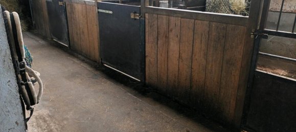 7 rooms House in Schleswig-Flensburg, Germany No. 360382 18