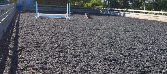 7 rooms House in Schleswig-Flensburg, Germany No. 360382 13