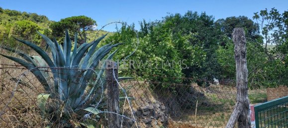 Terrain à Campagnano di Roma, Italy 30237m² No. 281592 13