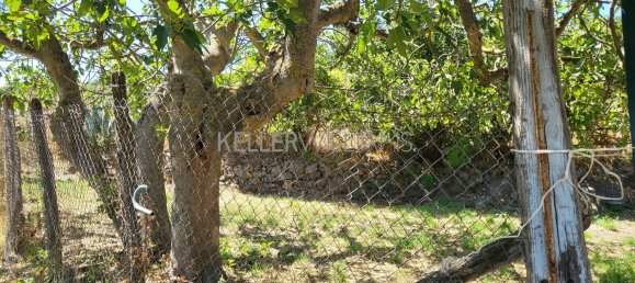 Terrain à Campagnano di Roma, Italy 30237m² No. 281592 8