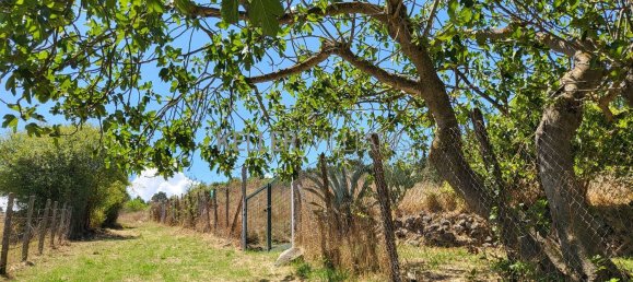 Terrain à Campagnano di Roma, Italy 30237m² No. 281592 4