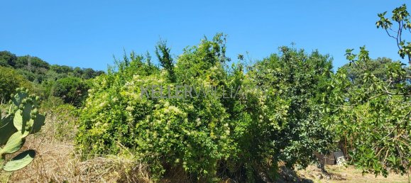 Terrain à Campagnano di Roma, Italy 30237m² No. 281592 11