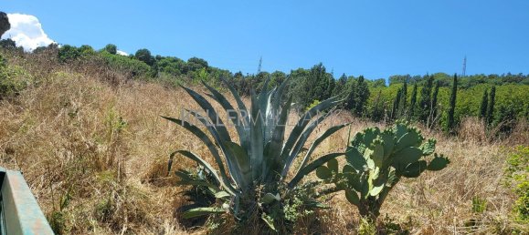 Terrain à Campagnano di Roma, Italy 30237m² No. 281592 12