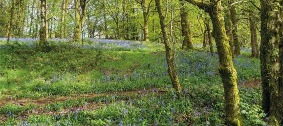  قطعة أرض في Quartu Sant'Elena, Italy رقم 374107 5