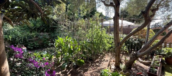 5 chambres Maison à Begur, Spain No. 151880 4