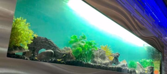 2 bedrooms Condo in Huai Khwang, Thailand No. 4368 6