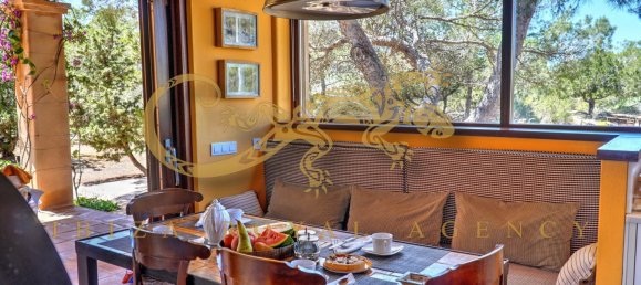 5 bedrooms Villa in Formentera, Spain No. 841 29