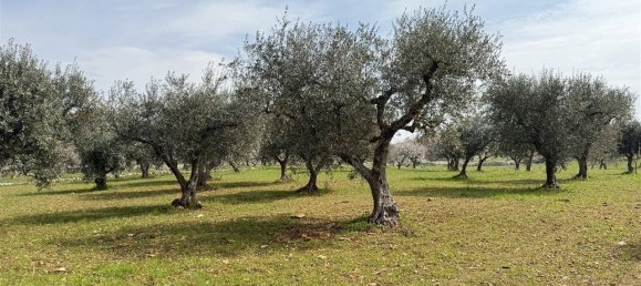 2 chambres Maison à Martina Franca, Italy No. 309561 28