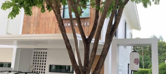 3 bedrooms Cafe / restaurant in Chalong, Thailand No. 13922 8