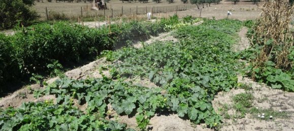 Casa T1 em Torrão, Portugal N.º 61500 27